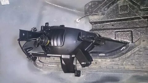 Туманки церато 3