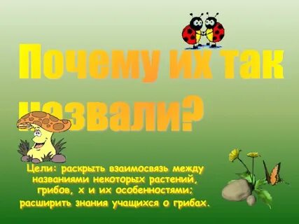 Почему они так называются 6 класс