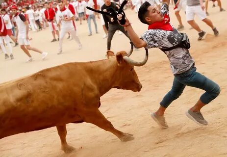 Running bull