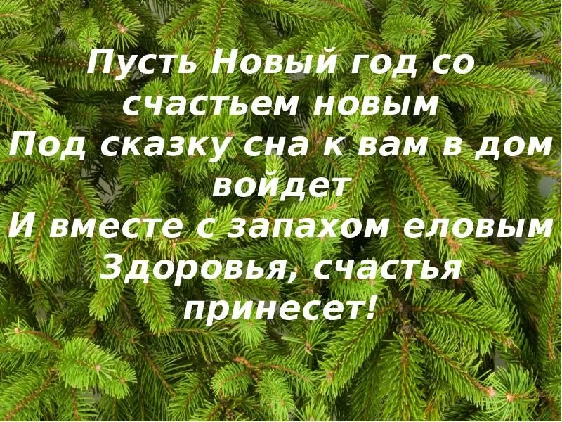 Когда в дом входит год текст. Пусть новый год. пусть новый год принесет вам. пусть новый год удачу принесет. пусть новый год принесет вам счастье.