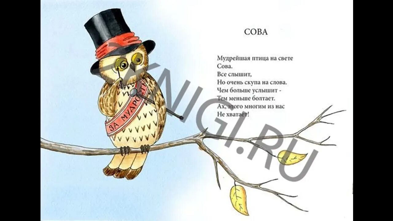 Терраса чиван загадка с совами