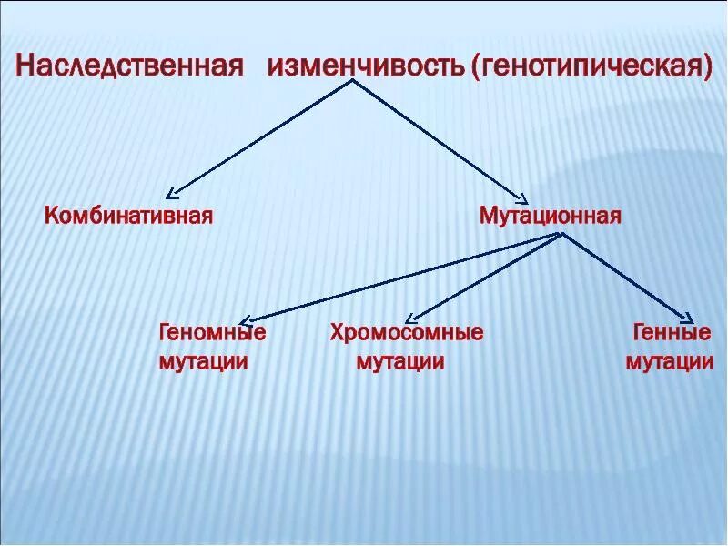 Постоянным источником наследственной изменчивости. Наследственная изменчивость. Наследственная комбинативная и мутационная. Наследственная изменчивость комбинативная и мутационная. Наследственная генотипическая изменчивость.