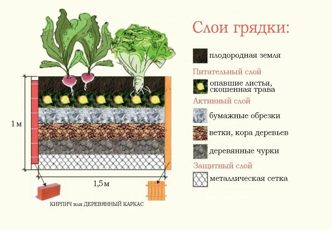 Как сделать теплую грядку в теплице
