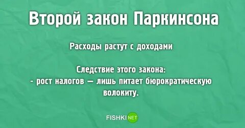 Закон паркинсона