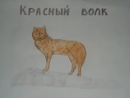 Нарисовать животное из красной книги 2 класс