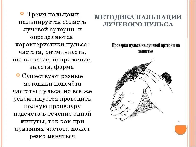 Текст песни убери руки с моего пульса. Методика пальпации пульса. Пальпация пульса на лучевой артерии. Прощупывание пульса на лучевой артерии. Место пальпации пульса на лучевой артерии.