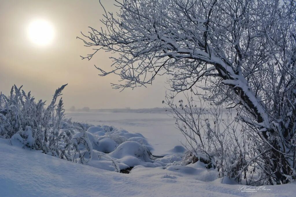 Полна тайн хмурая тишина зимнего. Под снежным покрывалом. Природа покрыта снежным одеялом картина Кливер.