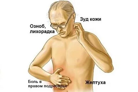 Печень и кожный покров