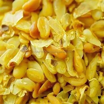 Кукурузные зародыши