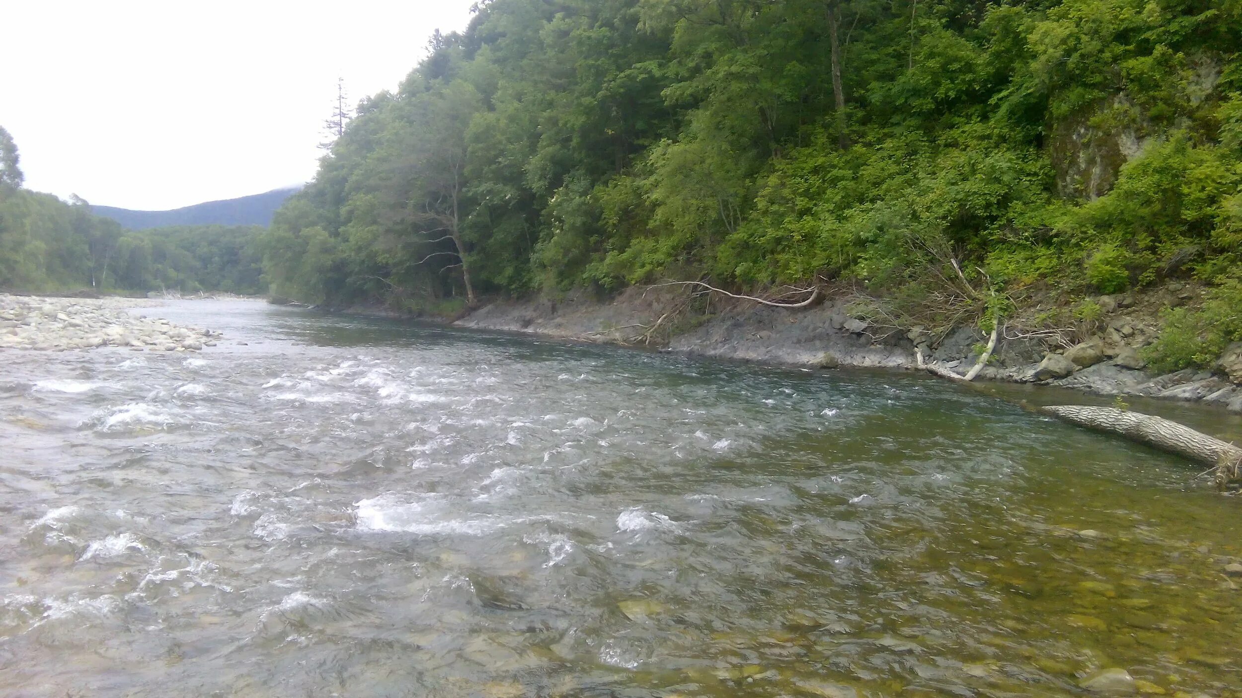 Село маргаритово приморский край. Река такема приморский край. Горные реки приморского края. Реки приморский край река уссури. Таёжная река сихотэ алинь.
