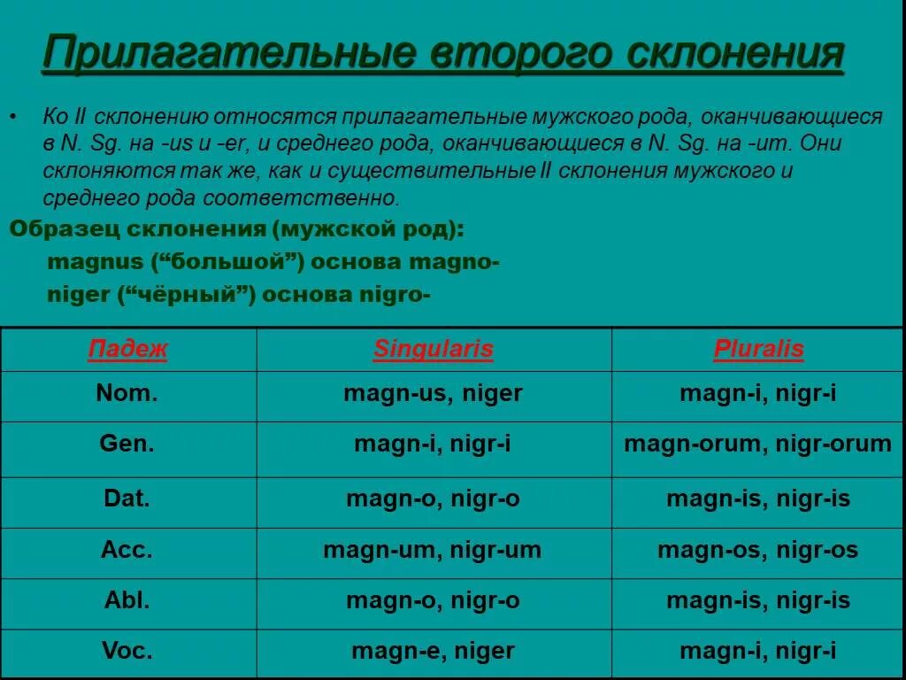 Первый род прилагательного. Прилагательные 2 склонения латынь. Склонение прилагательных в латинском языке 2 склонения. Прилагательные 1 склонения в латинском языке. Таблица склонения прилагательных латынь.