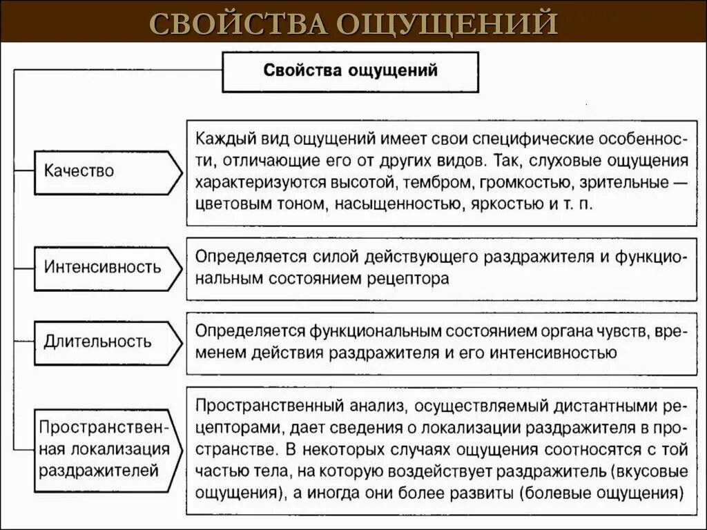 Свойства ощущений в психологии с примерами. Основные характеристики ощущений в психологии. Перечислите основные свойства ощущений. Свойства ощущений в психологии кратко. Характеризует несколько свойств