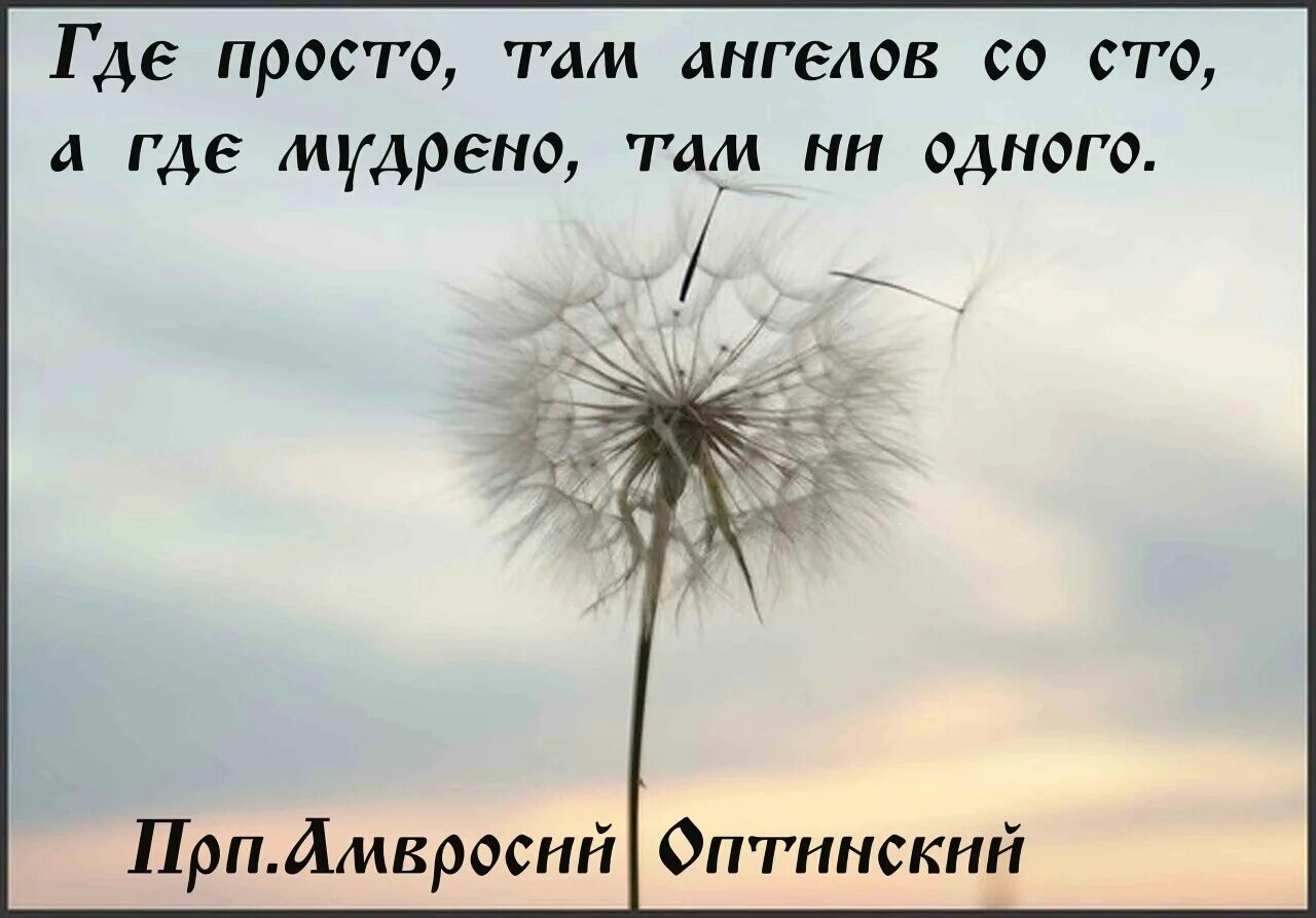 Где просто ангелов со СТО. Где просто все там ангелов со СТО. Где просто там ангелов со СТО А где мудрено там. Высказывание где просто там ангелов со СТО А где мудрено там.