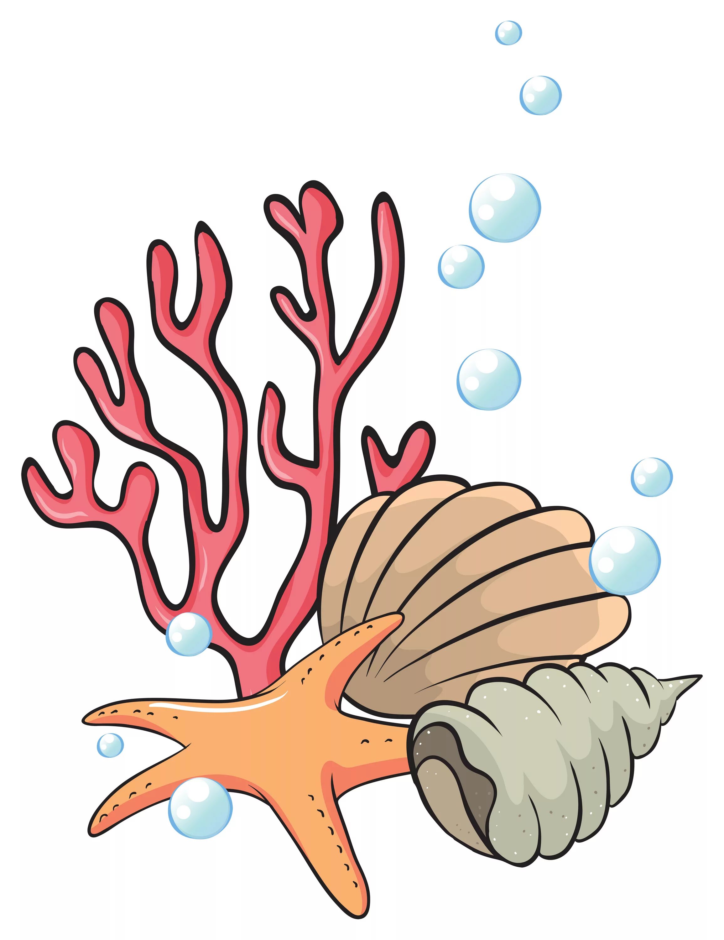 Водоросли ракушки. Ракушки водоросли. Водоросли ракушки и морские обитатели. Кораллы и ракушки. Кораллы для дошкольников.
