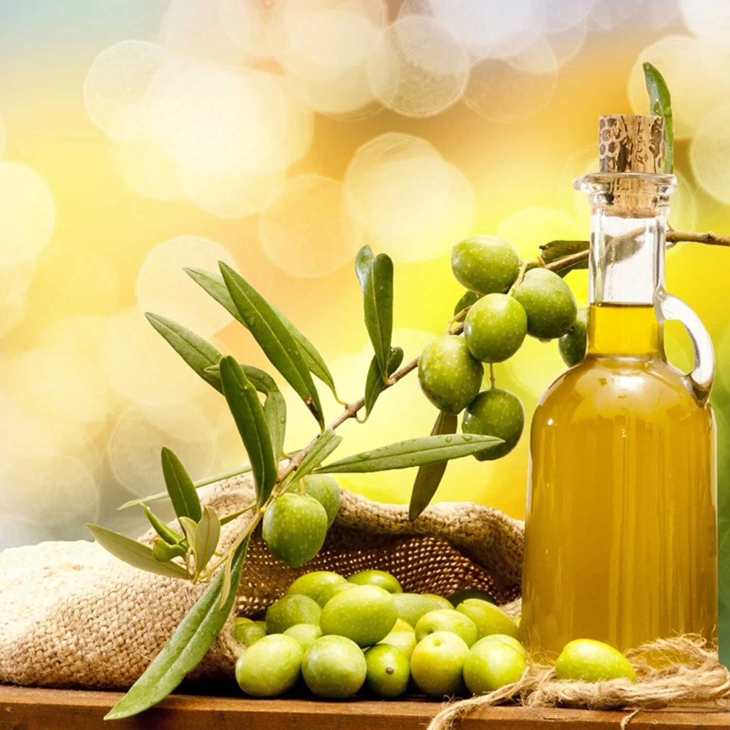 Масло оливы, жожоба оливы. Олив Ойл масло оливковое. Оливки и оливковое масло. Оливковое масло для лица.