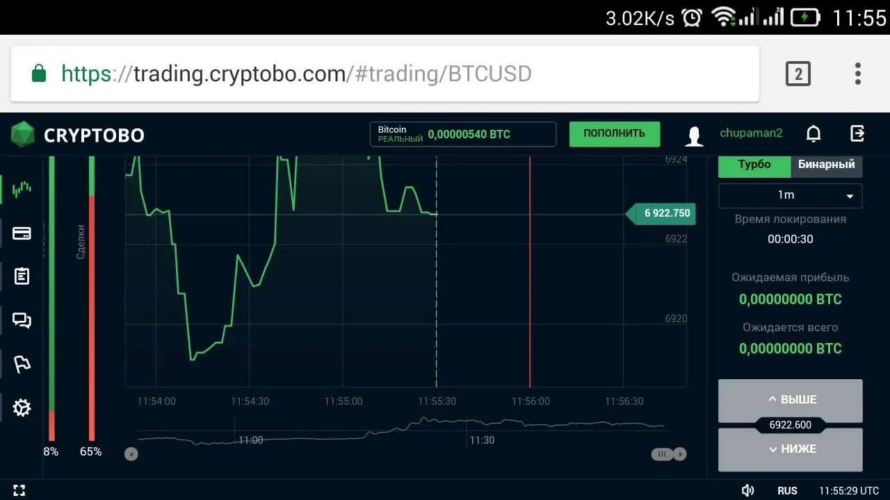 Как играть на бирже в интернете. Ставки на валюту. Ставки на бирже. Заработок на графике валют. Заработок на бирже.