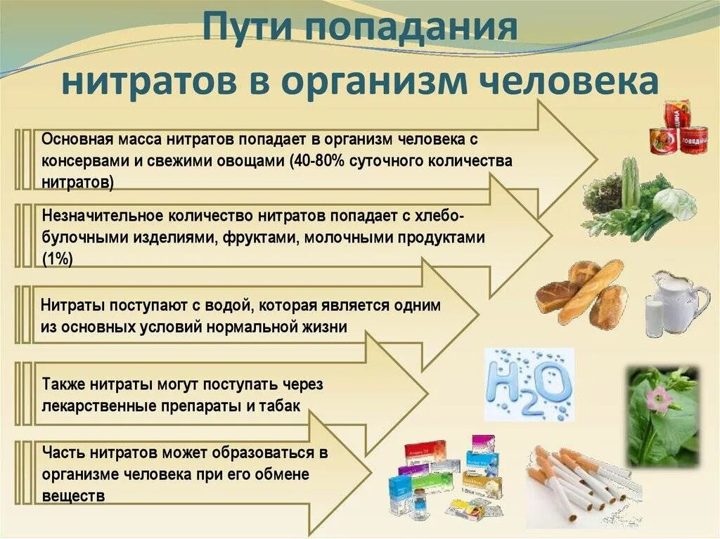 Нитриты в моче у женщин повышены причины. Нитраты в моче. Превращение нитратов в организме человека. Как нитраты попадают в организм. Нитриты в моче причины.