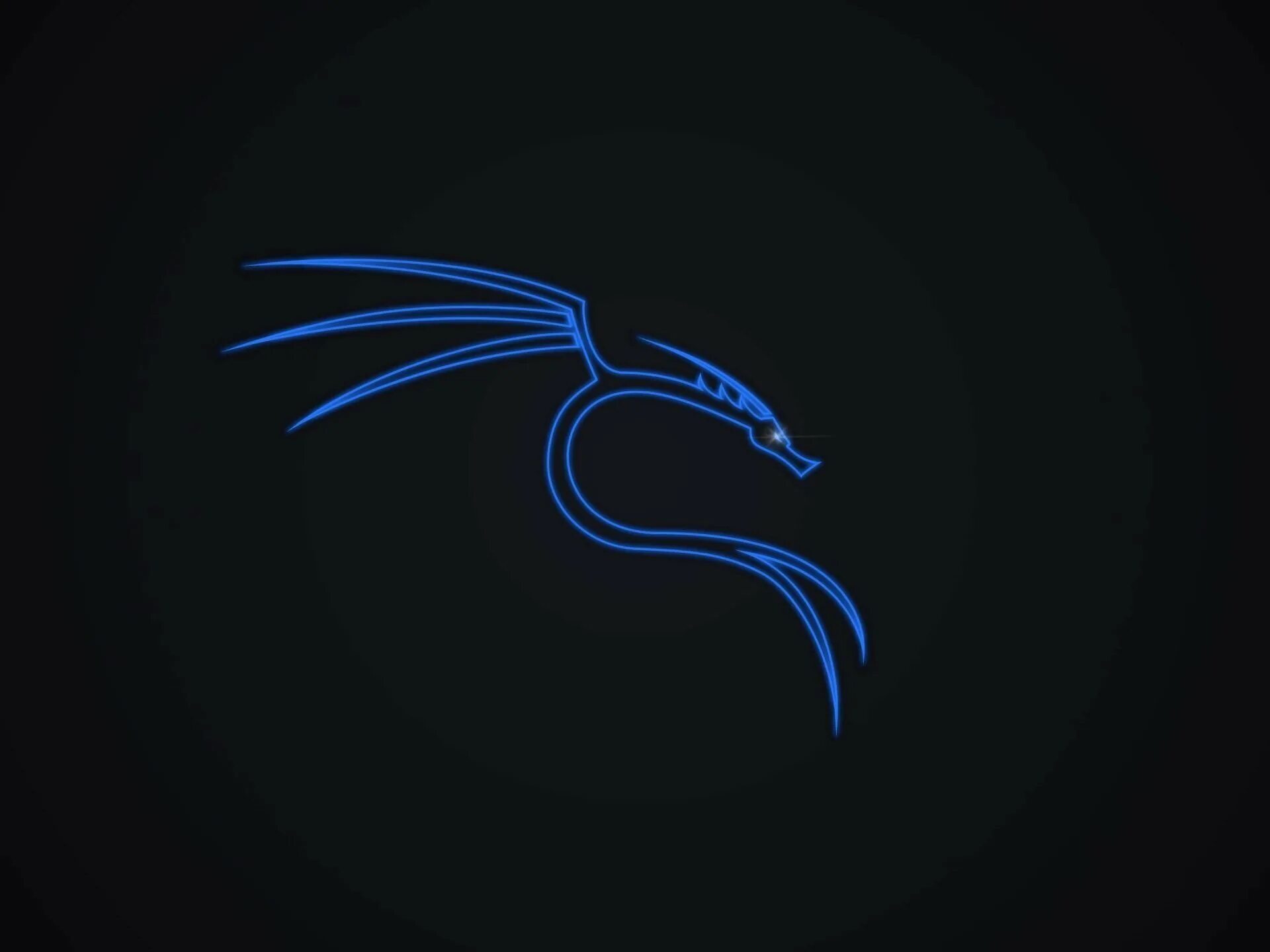 Kali linux os. Операционная система кали линукс. кали линукс обои. strix remix. kali linux обои на телефон.