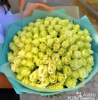 Авито воронеж цветы