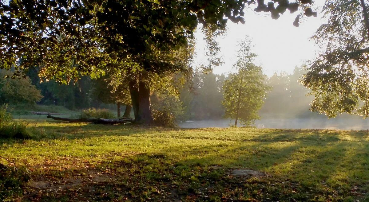 природа в конце октября. в сентябре в сентябре утром травы. озеро чарское в мухтолово. осень. пасмурная осень.