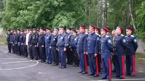 Полиция железногорск курская