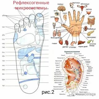 Рефлексогенные зоны