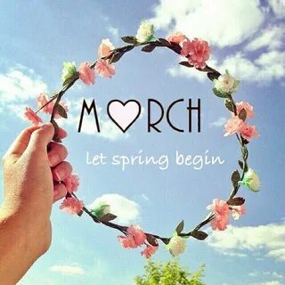 Spring begins
