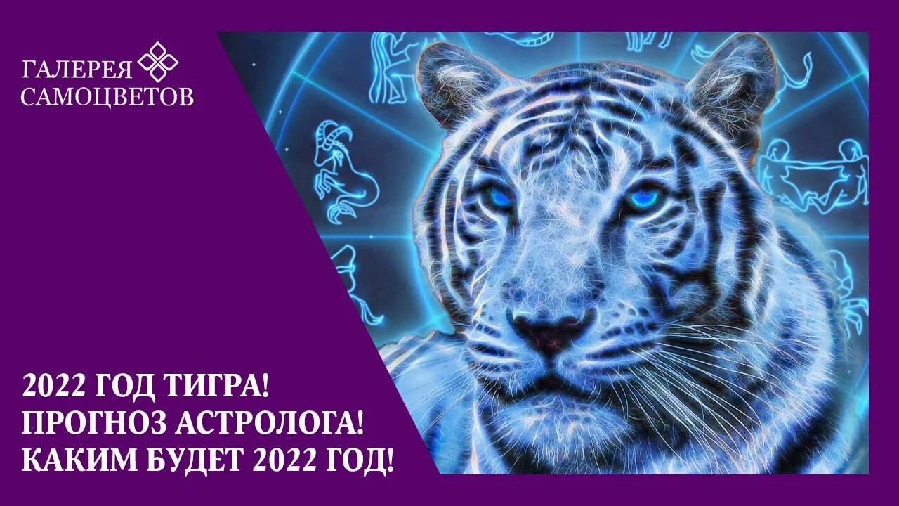 Каким годом является 2025. Год тигра 2025. московский тигр. тигр в москве. предсказание на новый 2025 год по картинкам.