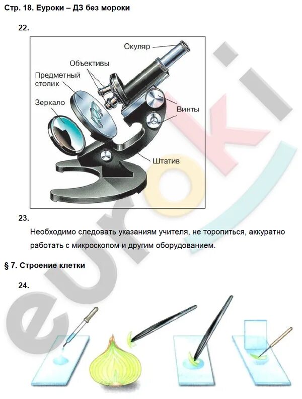 Рабочая тетрадь по биологии 5 класс Пасечник стр. 18. Рабочая тетрадь по биологии 5 класс Пасечник стр. 8. Биология в в Пасечник страница 54 строение цифрового микроскопа. Тетрадь по биологии 5 класс Пасечник стр 25. Технологические карты уроков биологии 5 класс