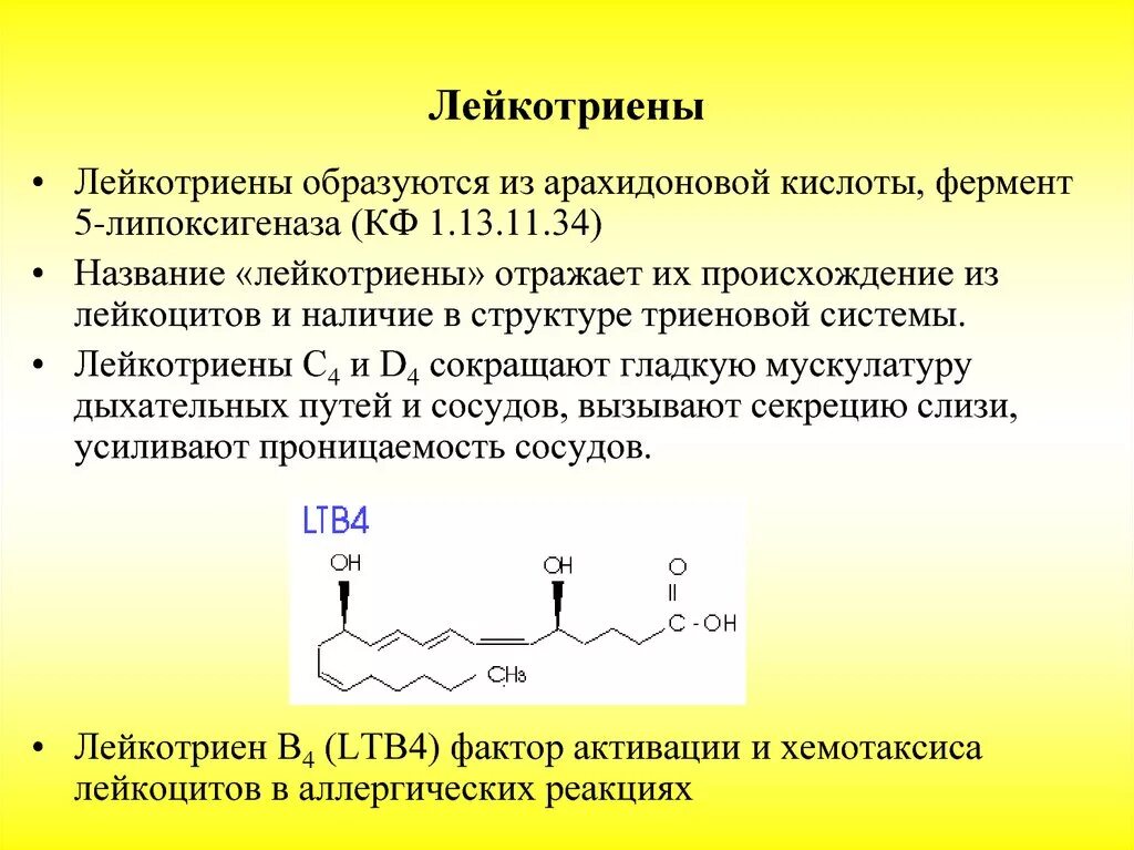 Ферменты формируются. Функции лейкотриенов биохимия. Лейкотриены образуются из. Синтез лейкотриенов. Лейкотриены образуются из арахидоновой кислоты.