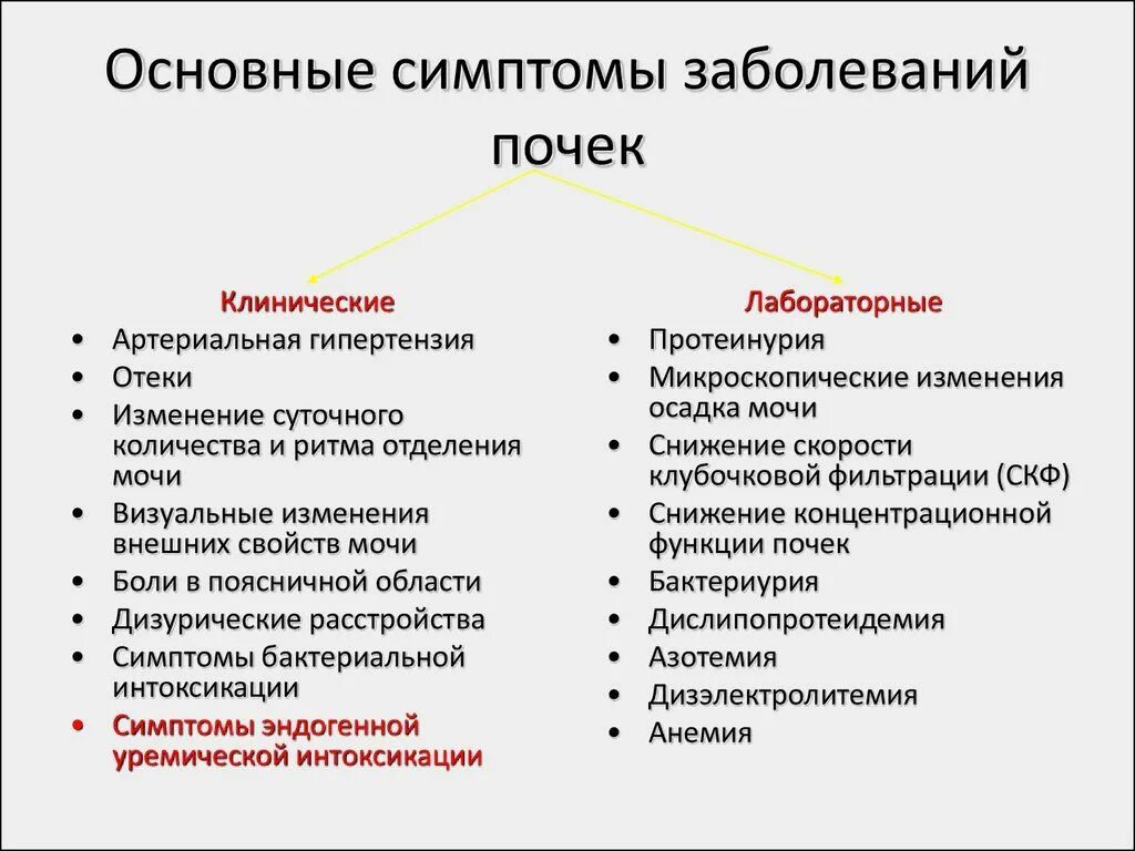 Симптомы проблем с почками. Основные симптомы заболевания почек. общие симптомы при заболеваниях почек. симптгмыболезни почек. болят почки симптомы.