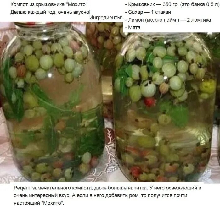 Компот с крыжовником мохито на зиму мятой. Компот из крыжовника мохито. мохито из крыжовника с лимоном и мятой на зиму.