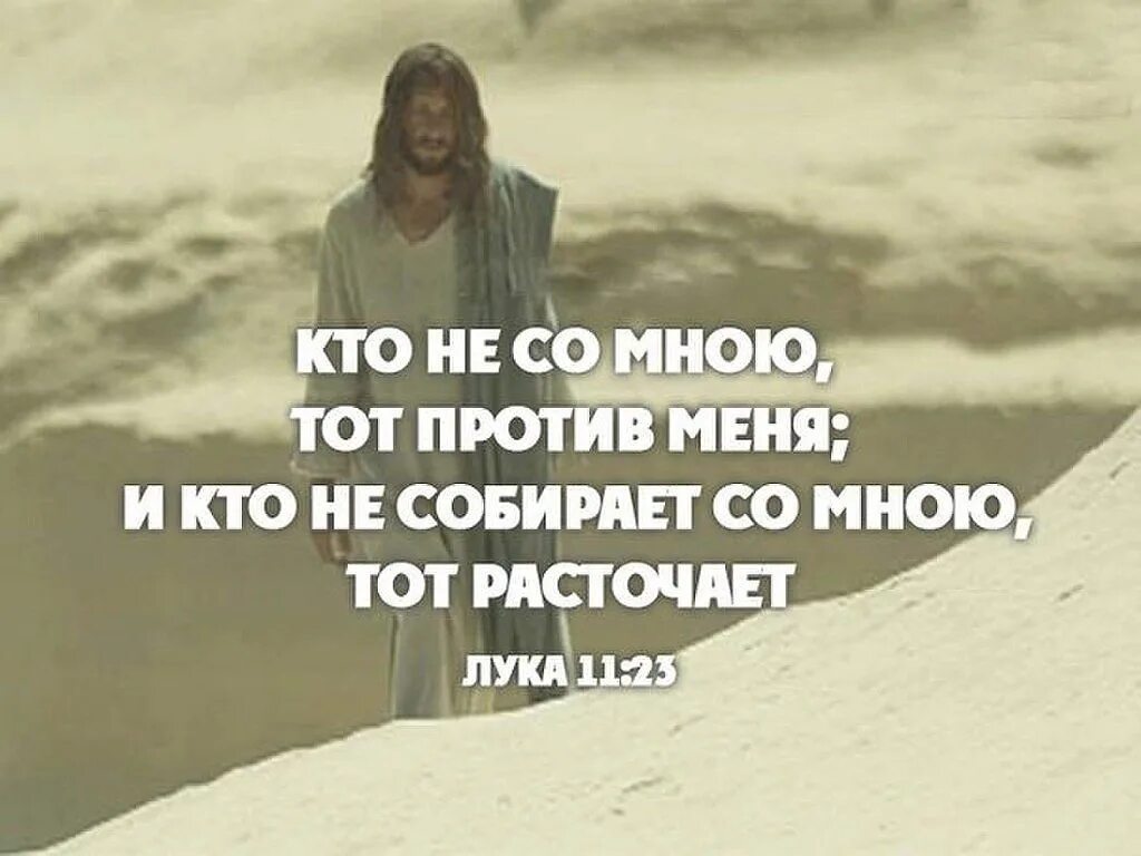 У некоторых людей нет мозгов. Rjulf yt pyftim relf blb. А давайте бросим пить отличный тост. Не знает куда идти. От того собираетесь ли.