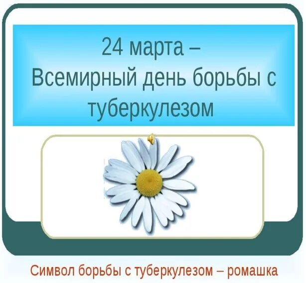 Международный день туберкулеза. Всемирный день борьбы с туберкулезом белая Ромашка.