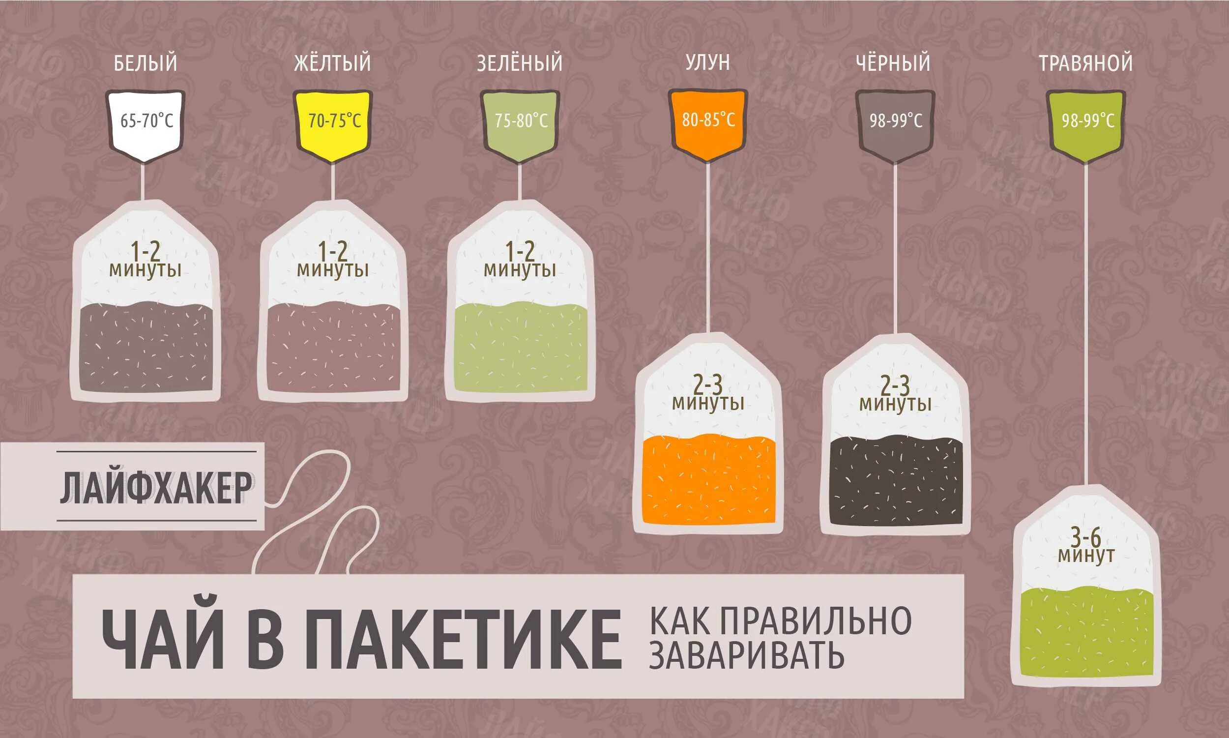 Сколько в 1 чай. Инфографика чай. как правильно заваривать чай. как правильно заваривать чай в пакетиках. инфографика заваривания чая.