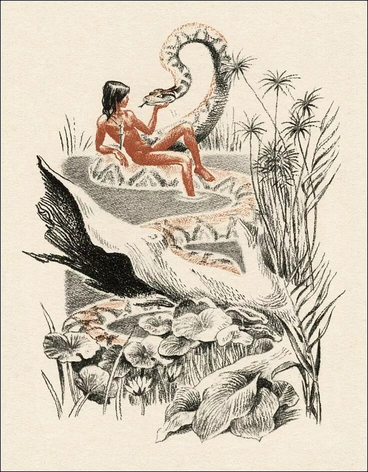 Рисунок киплинг. Джунглей редьярд киплинг маугли. иллюстрации к книгам редьярд киплинг маугли. иллюстрации к маугли киплинга.