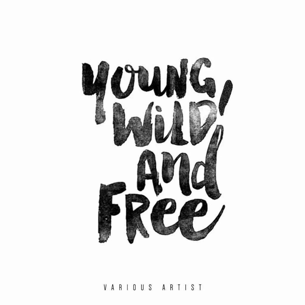 Young Wild And Free Скачать