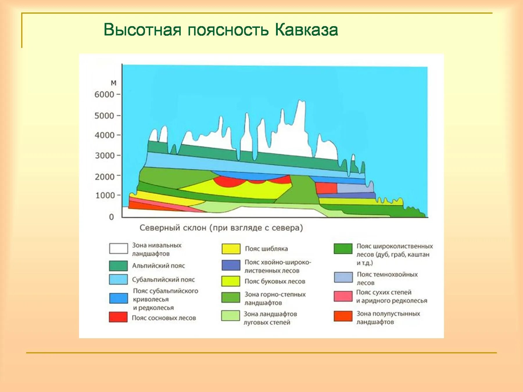 Природные пояса кавказских гор. Северный Кавказ схема ВЫСОТНОЙ поясности. Высотная поясность большого Кавказа рисунок. Высотная поясность Северного Кавказа. Высотная поясность Северного склона большого Кавказа.