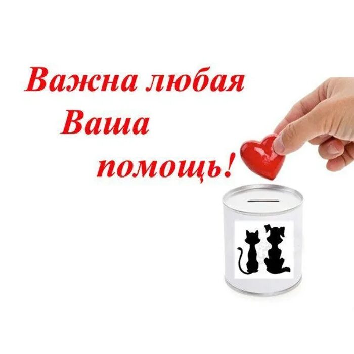 Сборе ваших