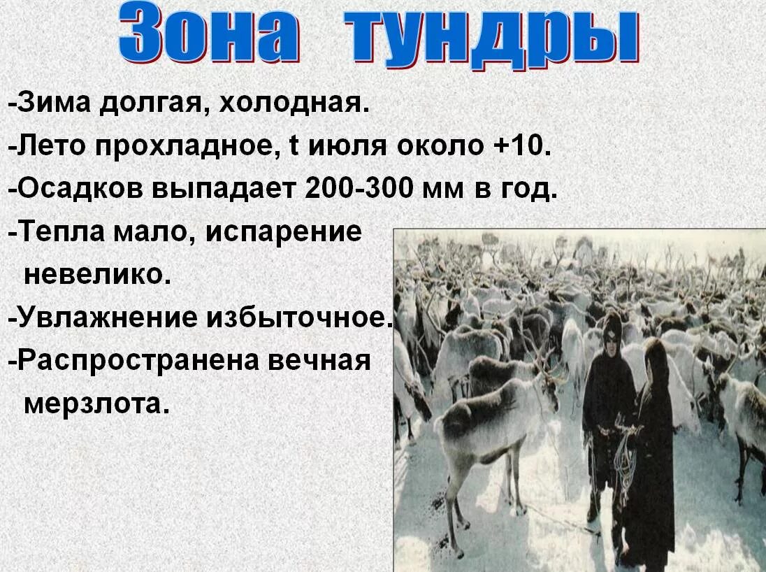 Хар ка природной зоны тундра. Характєрістіка тундрв. Описание тундры. Краткая характеристика тундры. Дать характеристику природной зоне тундра по плану