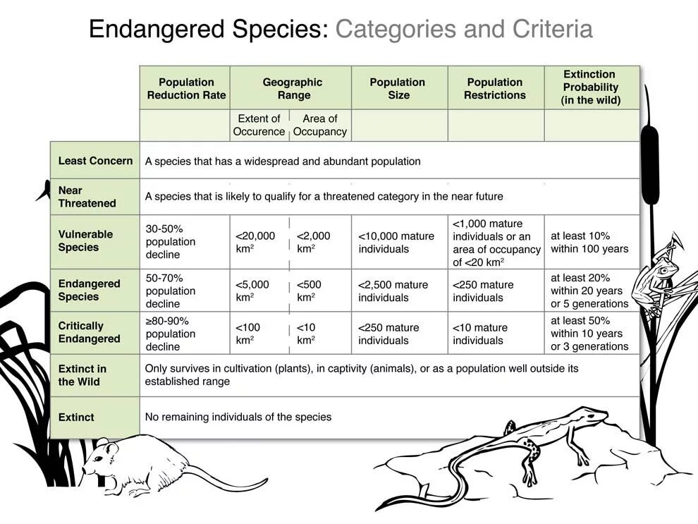 Release reduce adopt reusable endangered species. Endangered species таблица. Endangered species of Plants and animals. Extinction of species. Population of species.