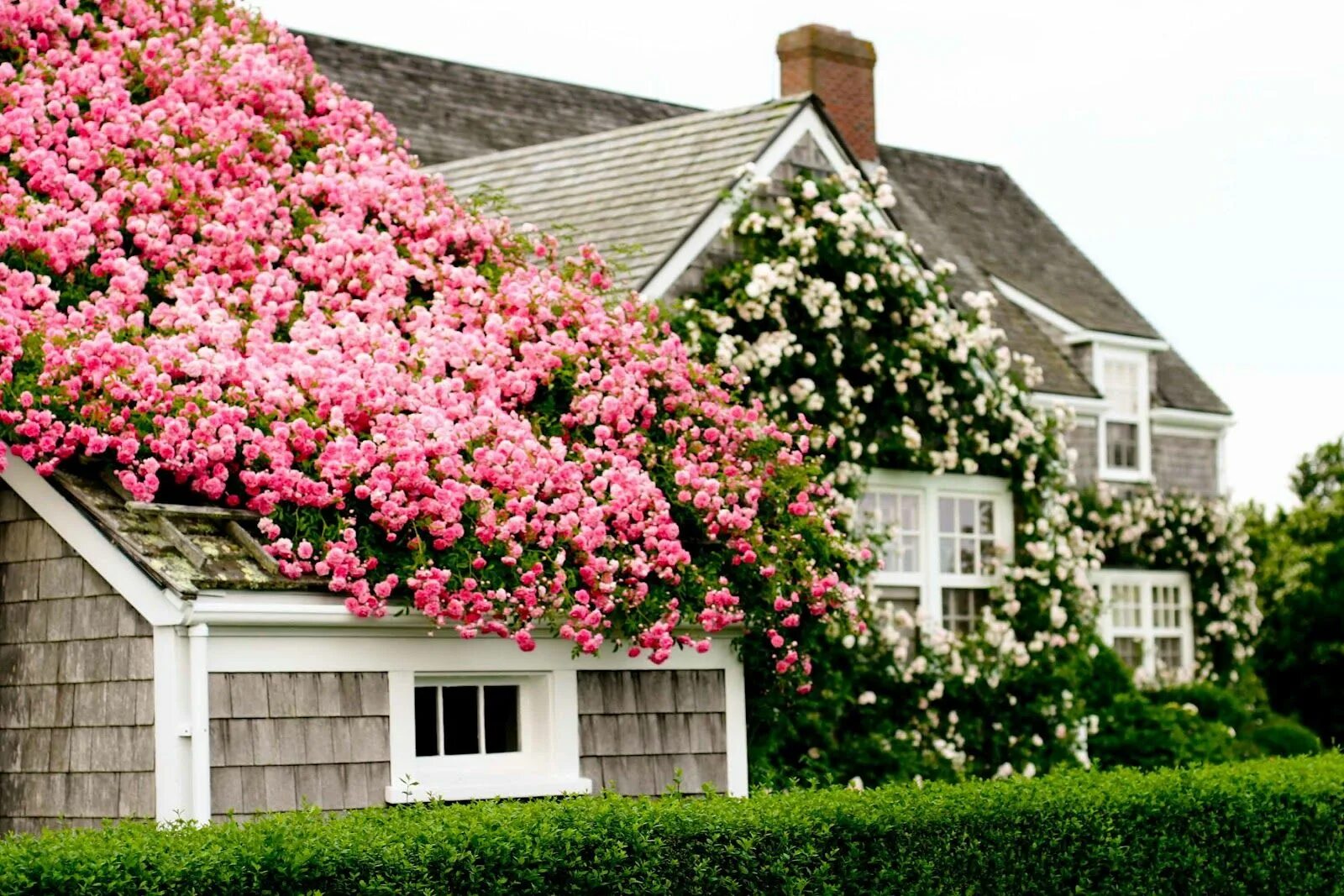Дом с цветами розовый. Домик в цветах. Дом в саду. Красивый домик с садом. Красивый дом в цветах.