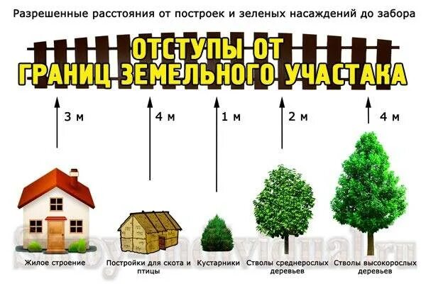 Сколько от забора можно сажать деревья. Посадка плодовых деревьев на участке нормы. Правила посадки деревьев от забора соседей нормативы. Посадка деревьев на участке нормы. Нормы посадки деревьев и кустарников на участке от забора.