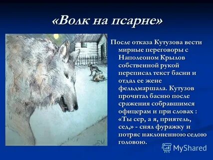 Волк на псарне текст