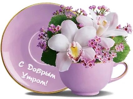 i?id=ecfa4a7743850df7d28d3ea21d780aa3-4236582-images-thumbs&n=13