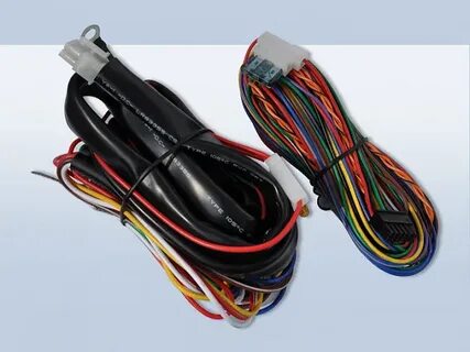 Can 6