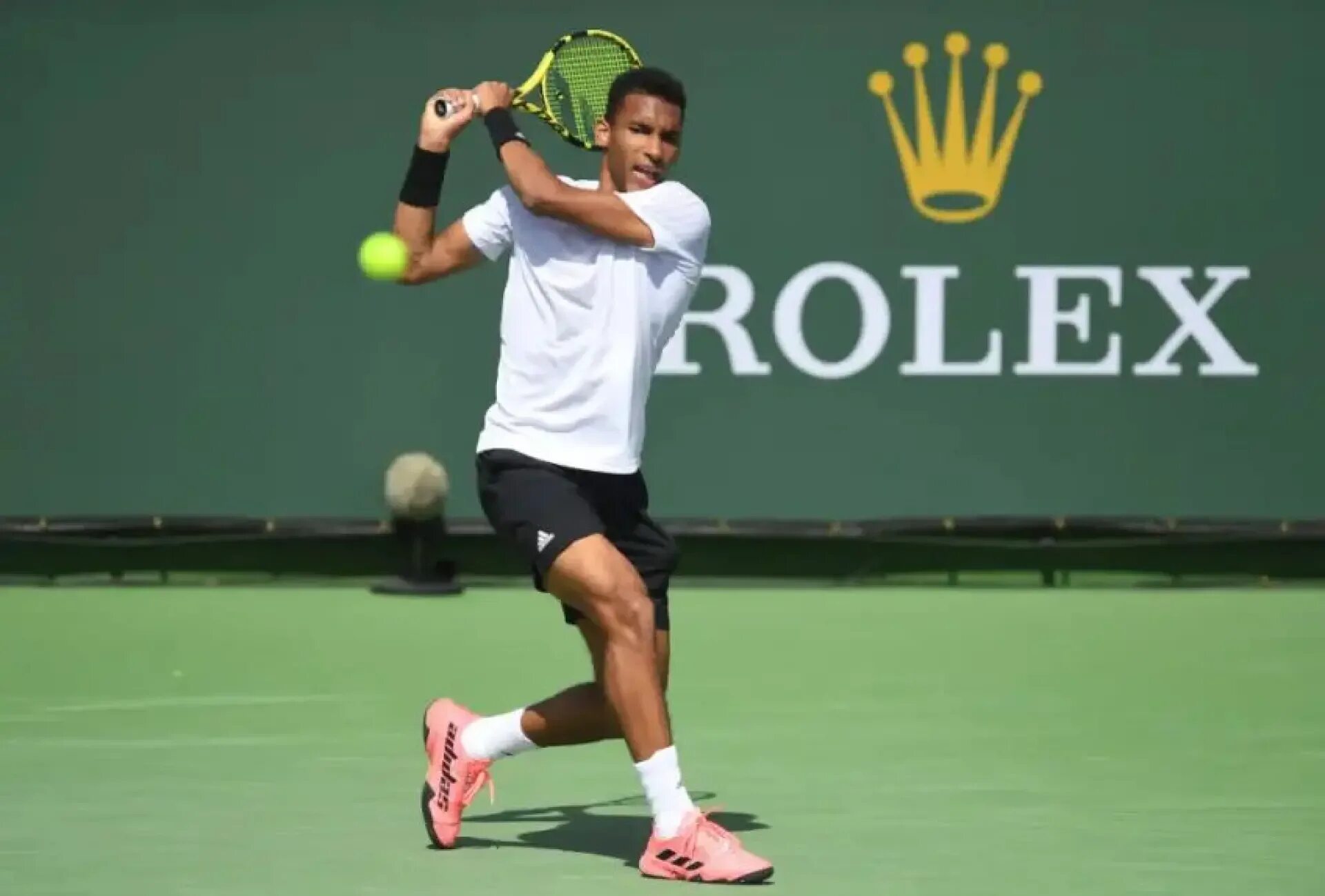 Теннис сегодня мужчины индиан уэллс. Indian wells Tennis Garden. Теннис сегодня. Теннис в саду. Тиафо Индиан Уэллс.