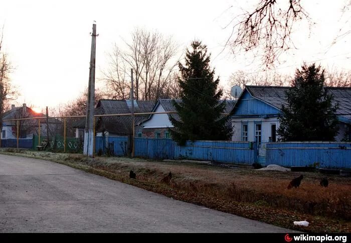 Погода в мокрой ельмуте