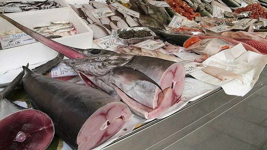 Тунец ртуть. Светлогорск рыбный рынок. Светлогорск рынок рыба. Рынок в Светлогорске Калининградской области рыбный. Рыбный эксперт.