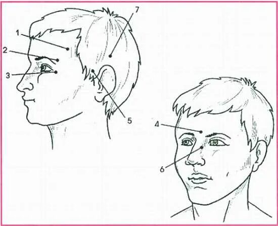 Висок часть головы. Болезненная точка над ухом.